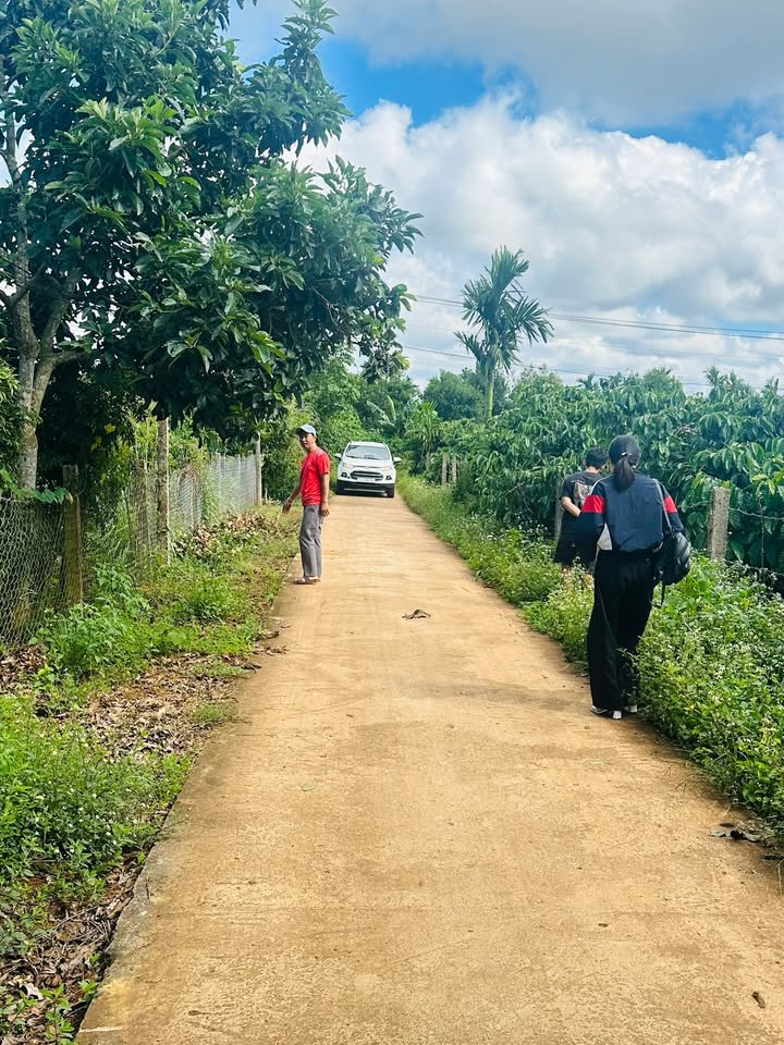 Đất nền Phú Lộc Krông Năng 198m² giá 450 triệu - Sổ đỏ chính chủ, xây dựng tự do!