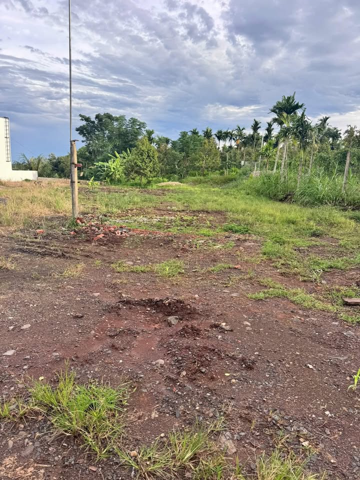 Đất nền Quốc lộ 29, Ea Drông, 300m² giá 1.7 tỷ - Đầu tư tiềm năng!