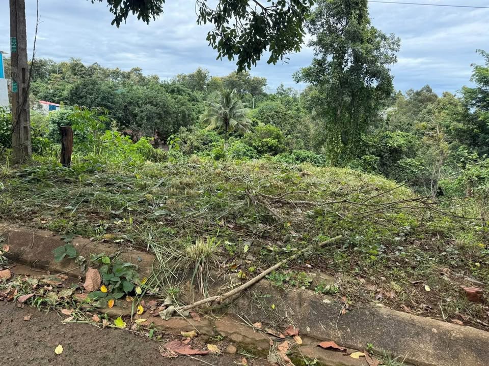 Đất nền Đăk Mil 300m² giá 1.75 tỷ - Đường nhựa, gần mọi tiện ích!