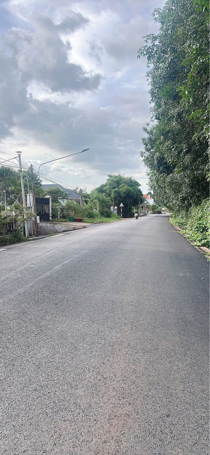 Đất thổ cư mặt tiền đường D3, Dĩ An 248m² giá 1.2 tỷ - Cơ hội đầu tư tuyệt vời!