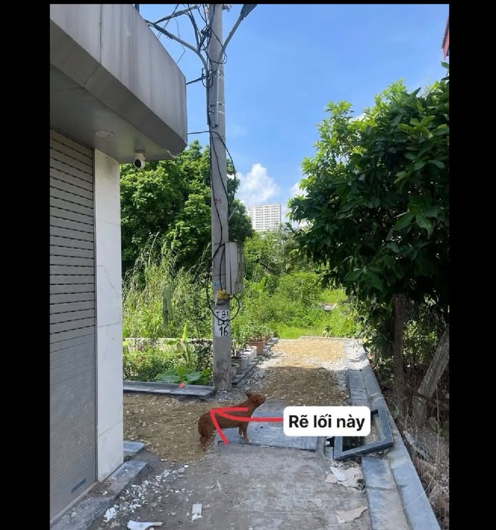 Đất Lê Xá Mai Lâm 42m² giá 3 tỷ - Nở hậu, yên tĩnh, hàng xóm thân thiện!