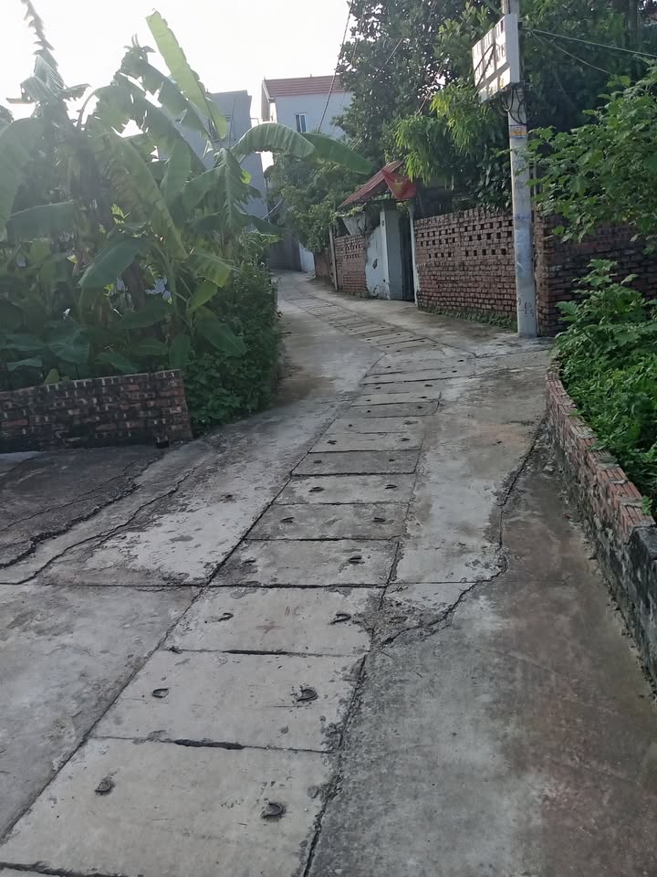 Đất nền Tiên Dương Đông Anh 70m² giá 5.5 tỷ - Tiềm năng tăng giá mạnh!