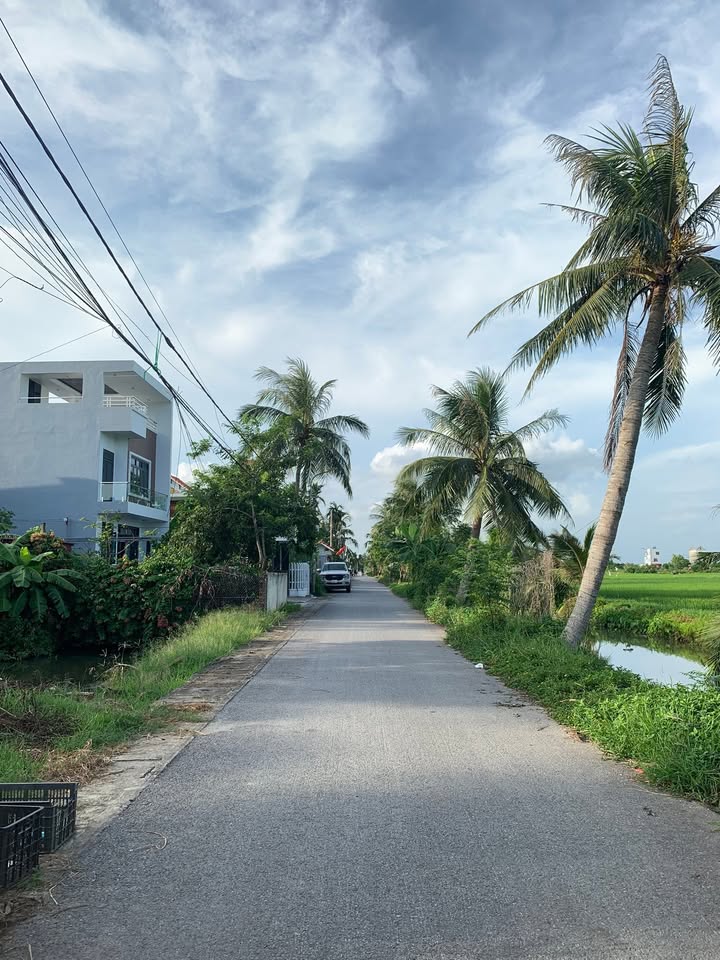 Đất nền Nhân Hòa, Vĩnh Bảo 100m² giá 1.8 tỷ - Đầu tư sinh lời ngay!