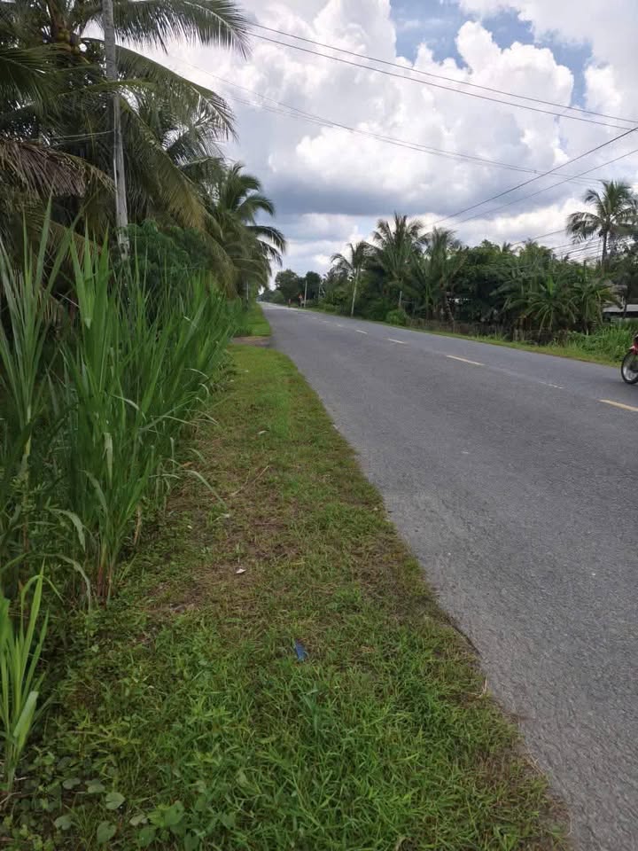 Đất mặt tiền Quốc Lộ 57C, xã Tân Thanh, 1000m² giá 1.8 tỷ - Cơ hội đầu tư tuyệt vời!