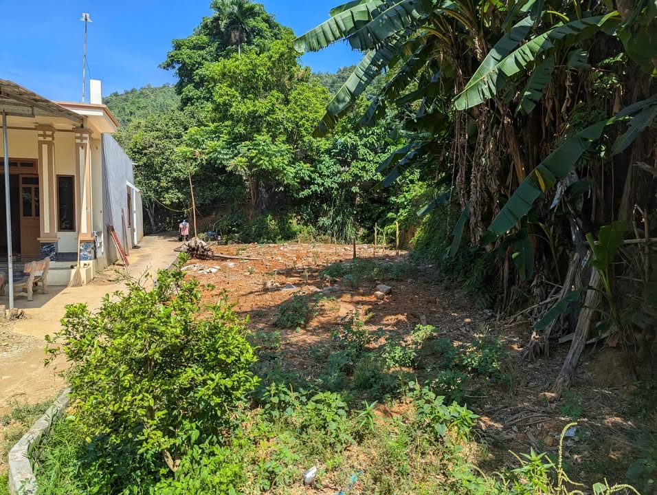 Đất nền 232m² xã Quang Tiến Hòa Bình giá chỉ 2 tỷ - Cơ hội đầu tư hấp dẫn!