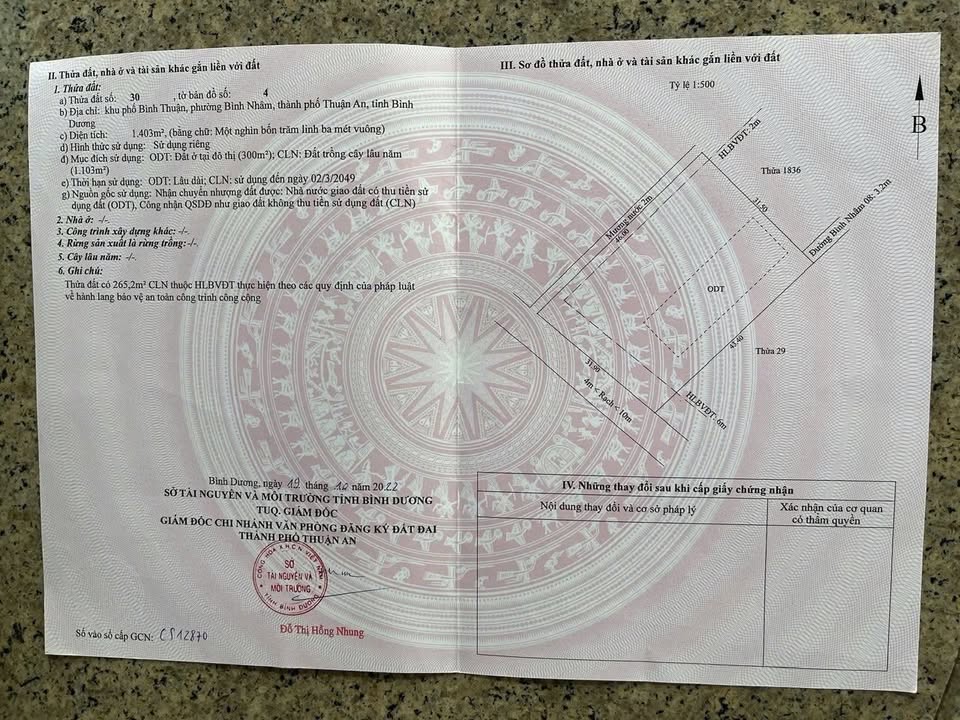 Biệt thự sân vườn đường Bình Nhâm 1400m² giá 15.888 tỷ - Không gian sống lý tưởng!