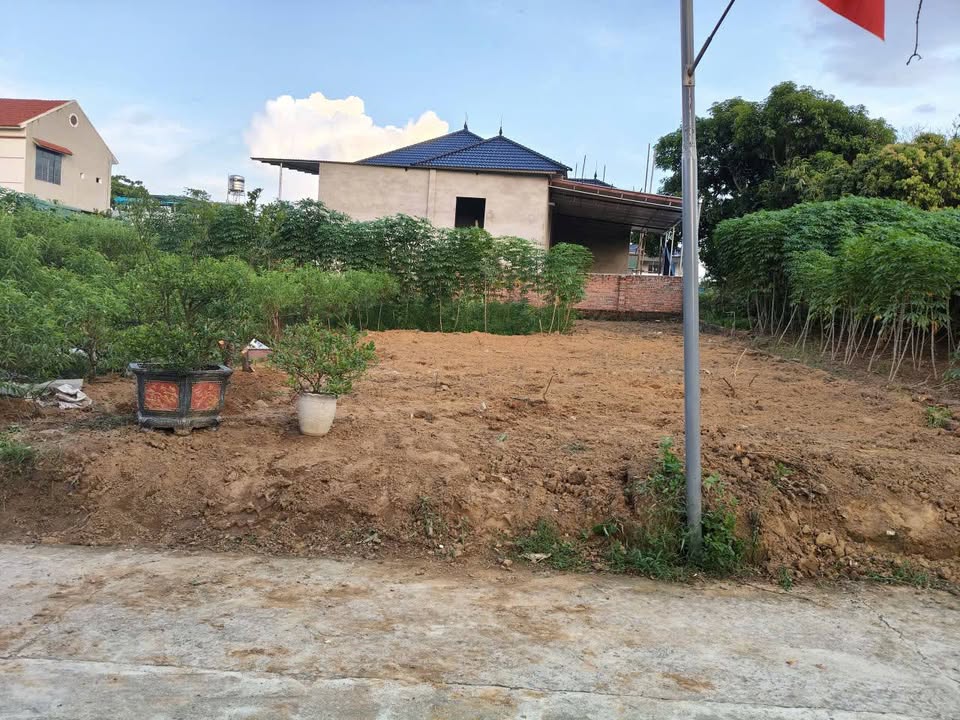 Đất nền Thanh Đình 116.5m² giá 1.2 tỷ - Cơ hội đầu tư hấp dẫn!