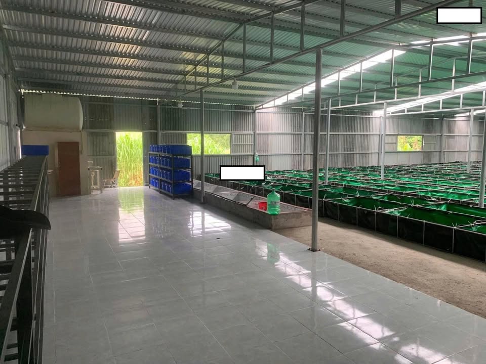 Đất thổ cư 700m² tại Đường 14B, Hòa Phong, Đà Nẵng - Giá chỉ 2.2 tỷ!