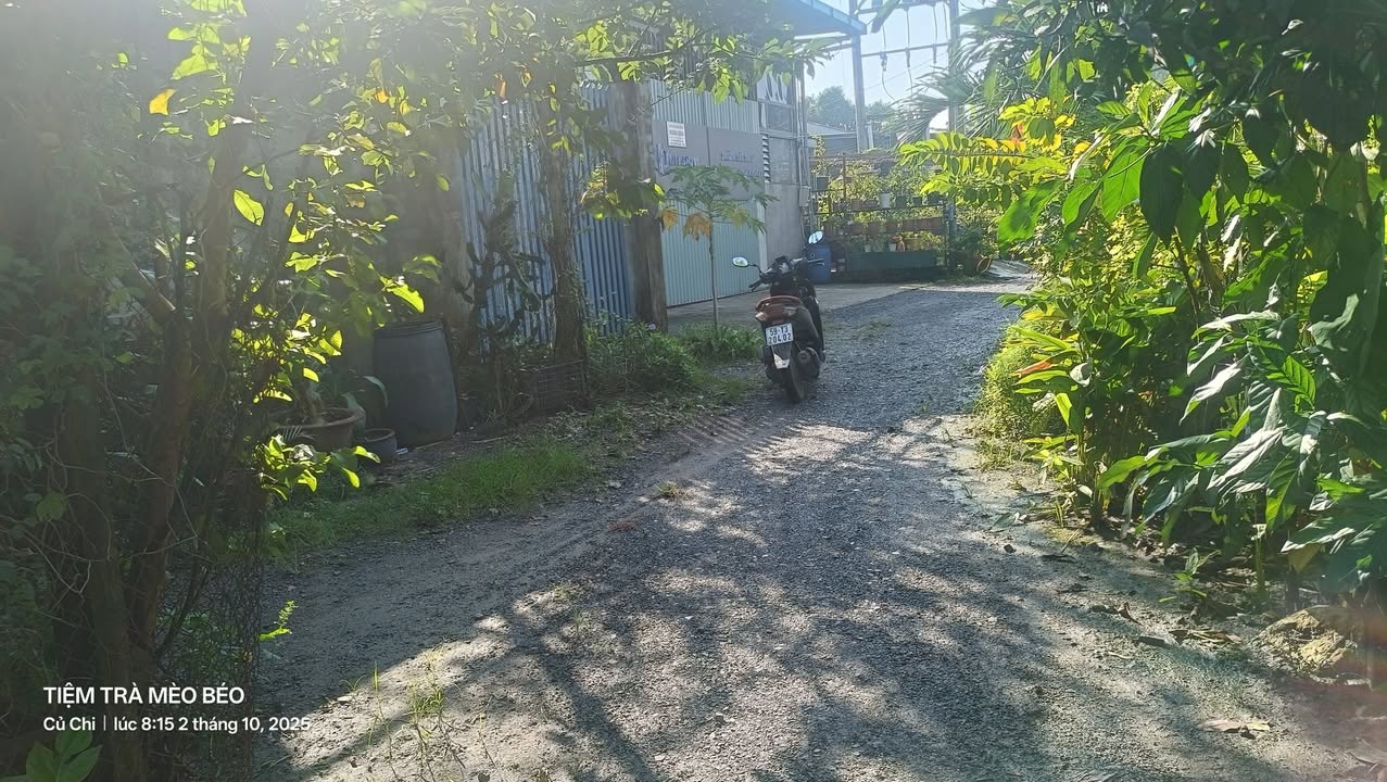 Đất thổ cư Tân Phú Trung 224m² giá 2.4 tỷ - Đường ô tô vào tận nơi!
