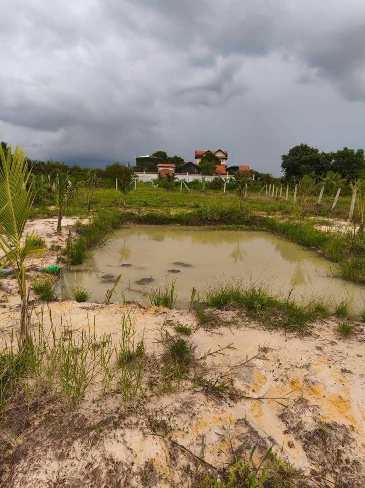 Đất vườn Thái Mỹ Củ Chi 780m² giá chỉ 1.05 tỷ - Không gian lý tưởng cho cuối tuần!