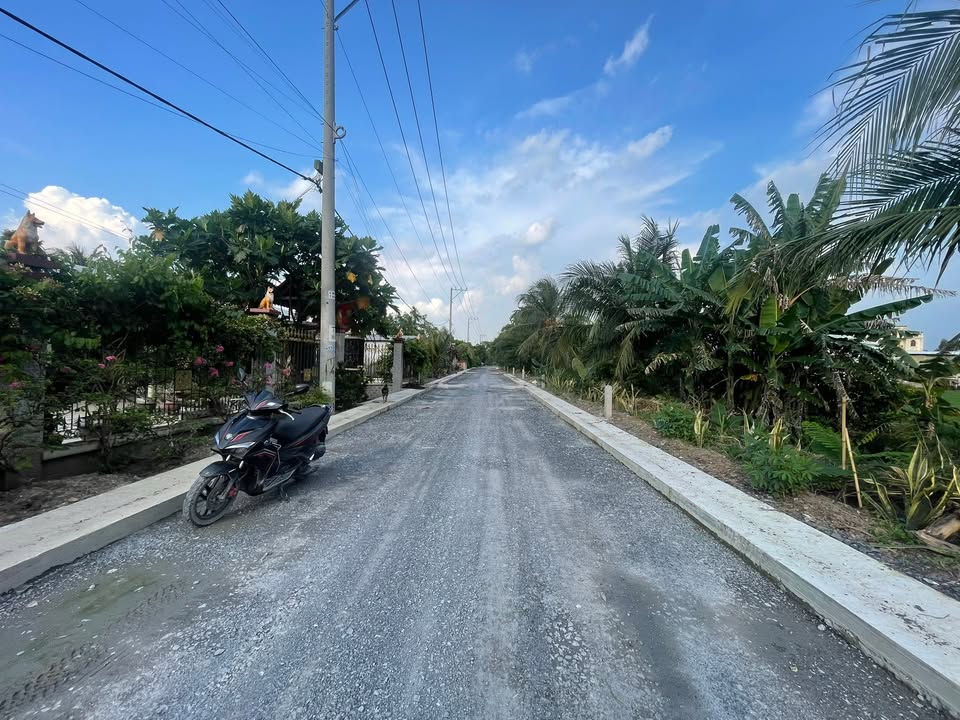 Đất vườn 1000m² Bình Mỹ, Củ Chi - Giá chỉ 4 tỷ, đầu tư sinh lời!