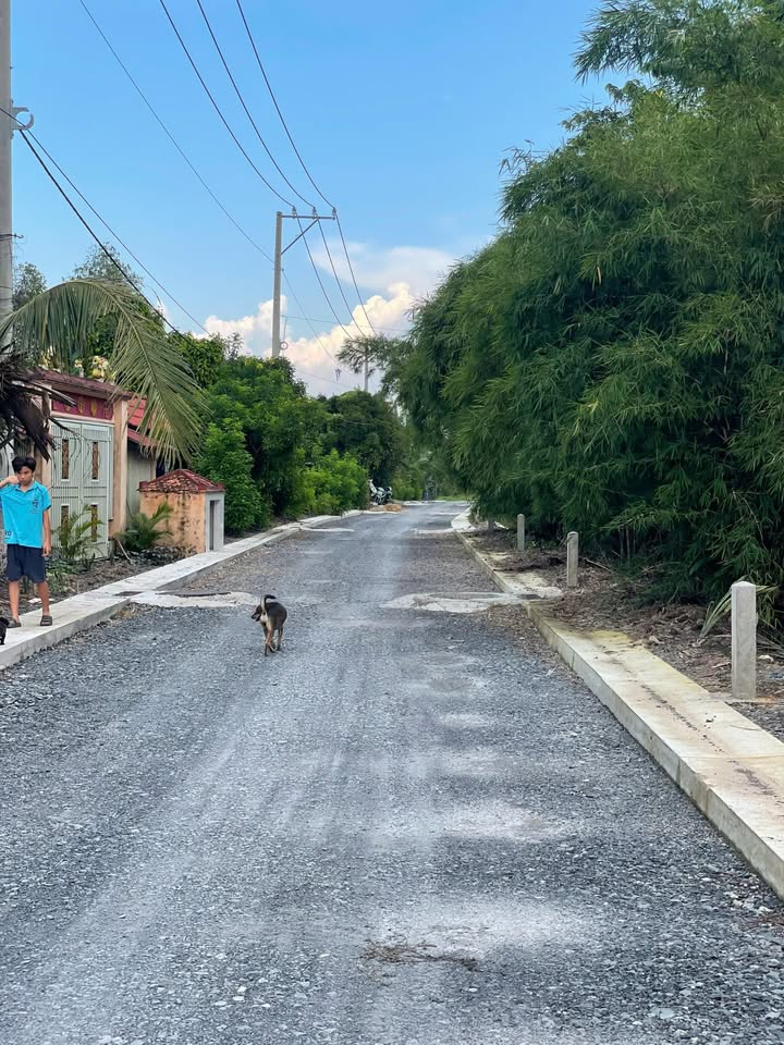 Đất vườn 2 mặt tiền đường 174, Bình Mỹ, Củ Chi 1000m² - Đầu tư sinh lời tuyệt vời!