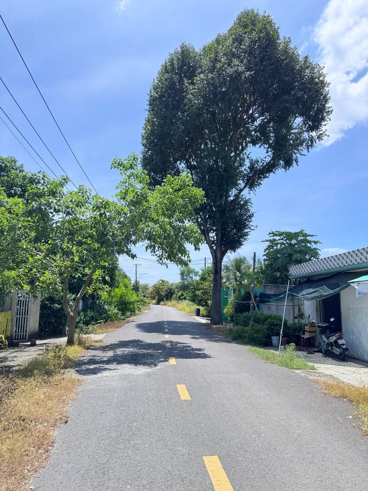 Đất thổ cư 241.5m² mặt tiền Tỉnh lộ 15, Phú Hòa Đông - Giá chỉ 2 tỷ, chính chủ!