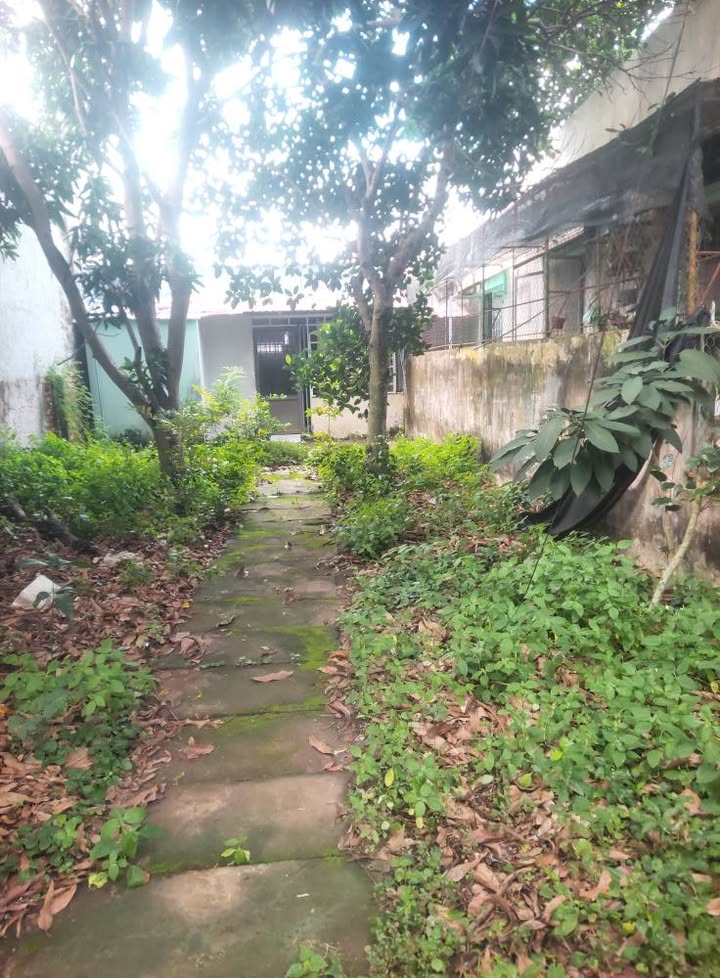 Đất nền KDC Chợ Xẻo Bẹo, Cao Lãnh 114m² giá 1.25 tỷ - Chính chủ thương lượng!