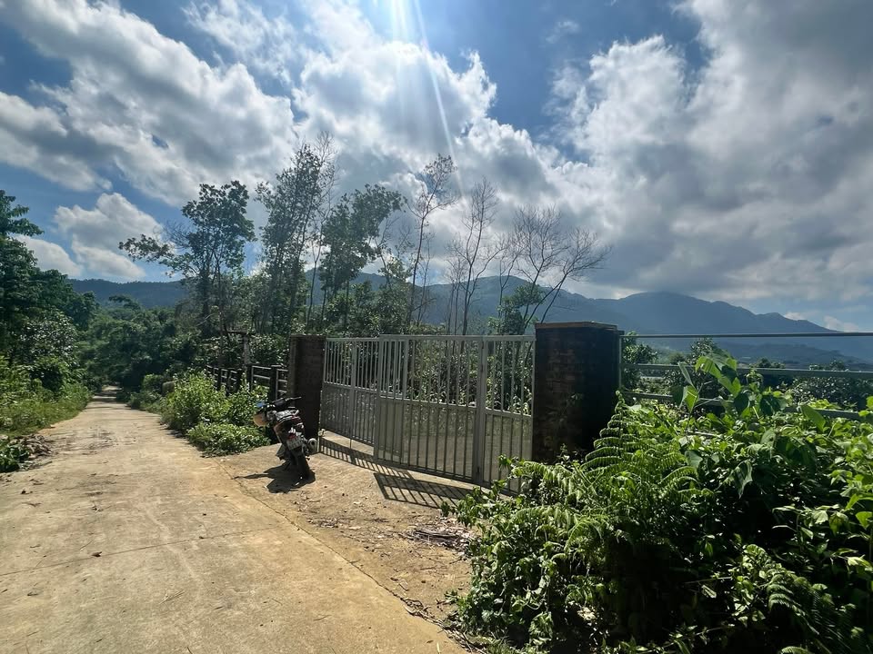 Đất Farm 2.300m² tại thôn Đồng Rằng - Giá chỉ 10 tỷ, tiềm năng sinh lời cao!