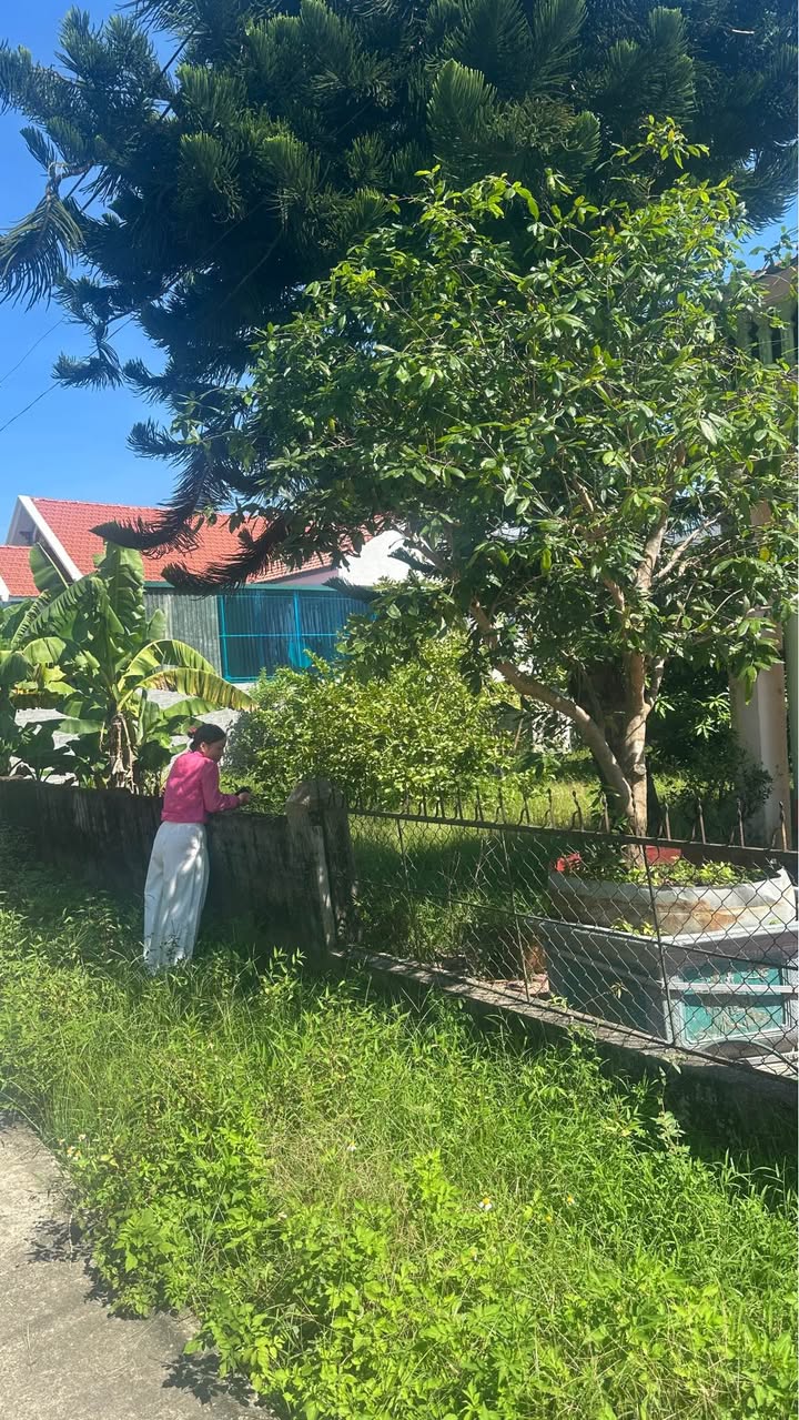 Đất đẹp nhà vườn Thọ Thanh 387m² giá 1 tỷ - Đầu tư lý tưởng!