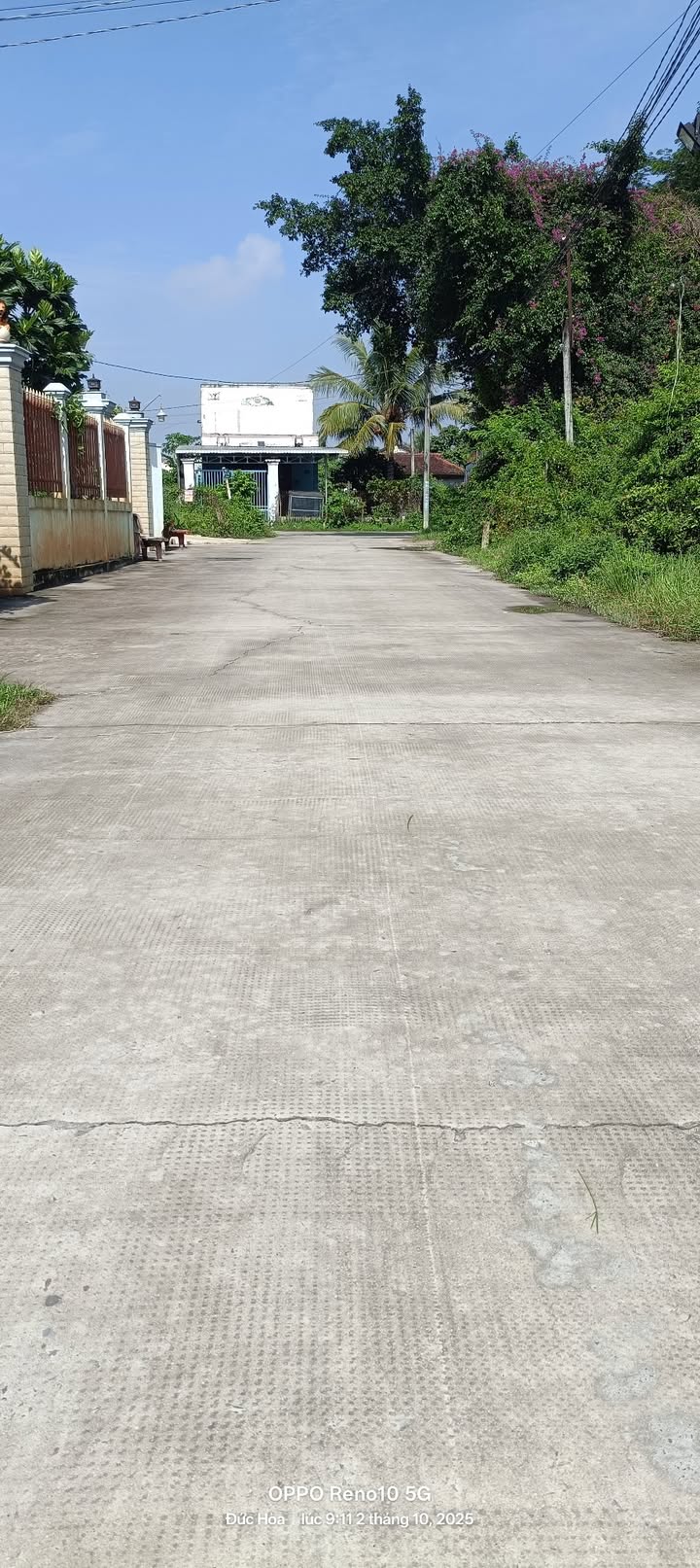 Đất thổ cư Đức Hòa Thượng 175m² giá chỉ 1.18 tỷ - Sổ đỏ chính chủ!