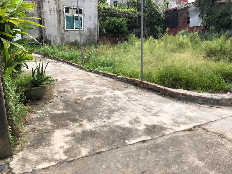 Lô góc đẹp tại Quang Tiến, Sóc Sơn 101m² - Đầu tư sinh lời hấp dẫn!