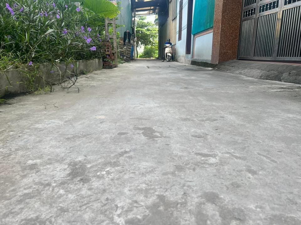 Đất nền Vĩnh Thọ, Từ Sơn 56m² giá 1 tỷ - Cơ hội đầu tư hấp dẫn!