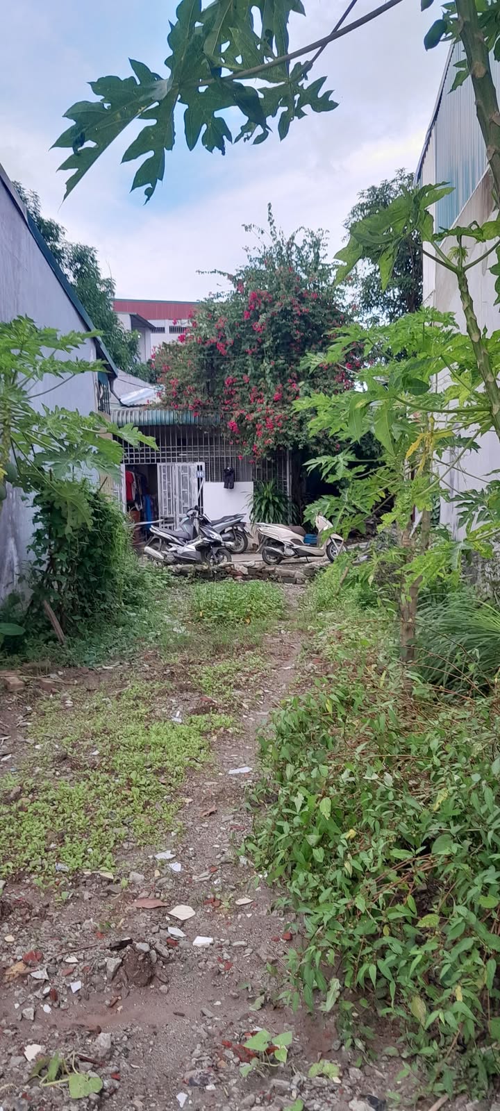 Đất ở phường Quỳnh Lâm, Hòa Bình 87m² - Sổ hồng chính chủ, giá tốt đầu tư!