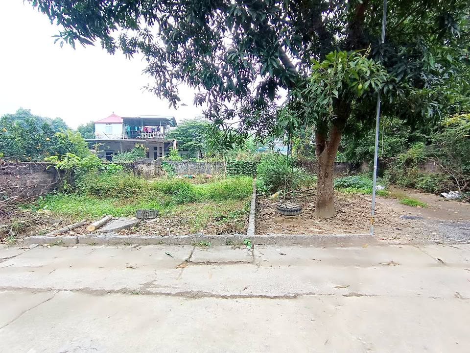 Đất nền thổ cư 100m² tại thôn Năm Lu, Hòa Sơn, Lương Sơn giá chỉ 3 tỷ - Sổ đỏ chính chủ!