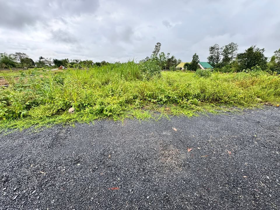 Đất Nền Nghi Kiều 187m² giá 800 triệu - Gần khu công nghiệp, thuận tiện di chuyển!