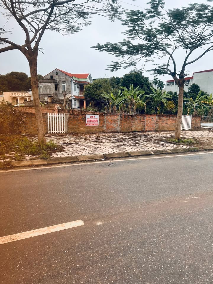 Đất nền quận Việt Trì 159m² giá chỉ 5x triệu - Vị trí đắc địa, thuận lợi kinh doanh!