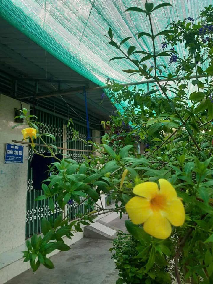 Phòng trọ Nguyễn Công Trứ Long Xuyên - Giá thuê thỏa thuận - An ninh 24/7!