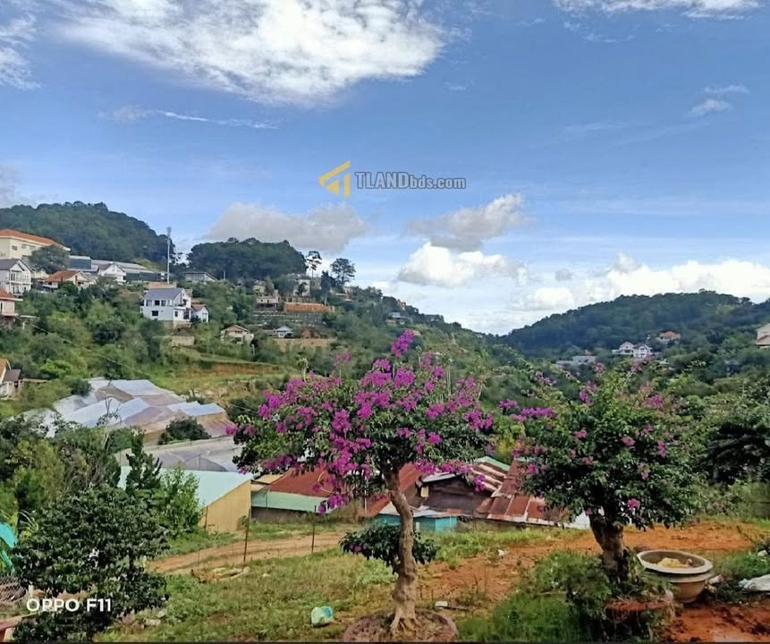 Đất thổ cư đường Khe Sanh, Đà Lạt 223m² giá 12 tỷ - View đẹp lý tưởng cho đầu tư!