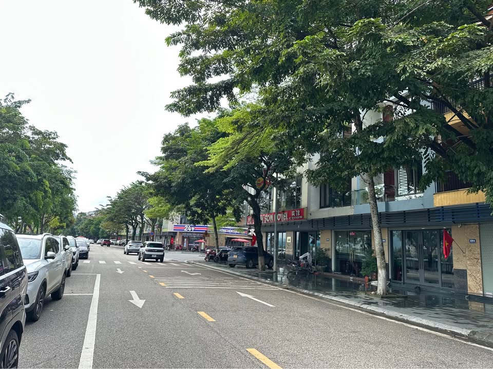 Bán nhà mặt đường An Dương Vương, Cốc Lếu 95m² giá 12 tỷ - Kinh doanh sầm uất!