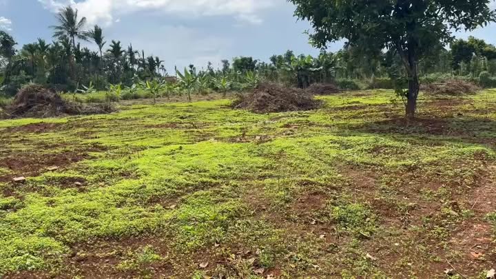 Đất thổ cư 400m² tại Cư Suê, Cư M'gar, Đắk Lắk 3100m² - Giá bán gấp chỉ 3.2 tỷ!