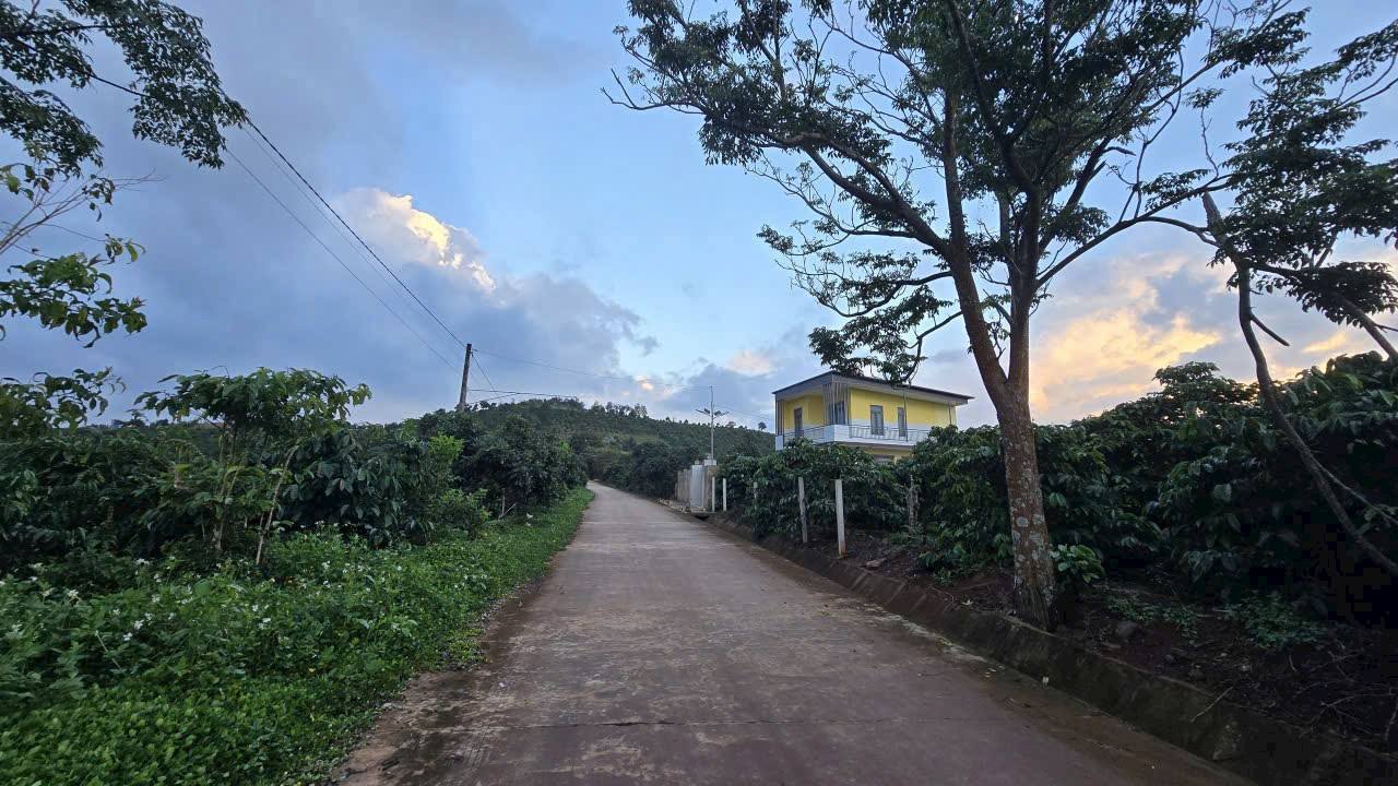 Đất thổ cư 100m² xã Nam Hà chỉ 400 triệu - Sẵn sàng công chứng!