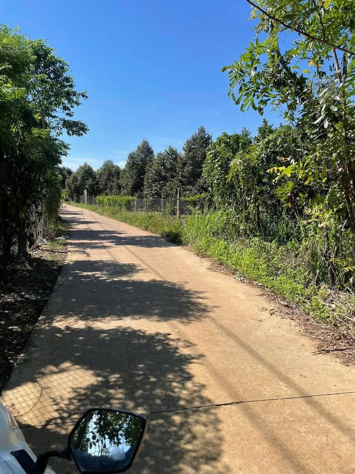 Đất nền Trà Cổ, Tân Phú 200m² giá 520 triệu - Mặt tiền đường bê tông thông thương!