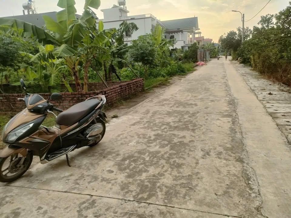 Đất nền chính chủ tại Quang Minh 50m² - Giá đầu tư hấp dẫn!