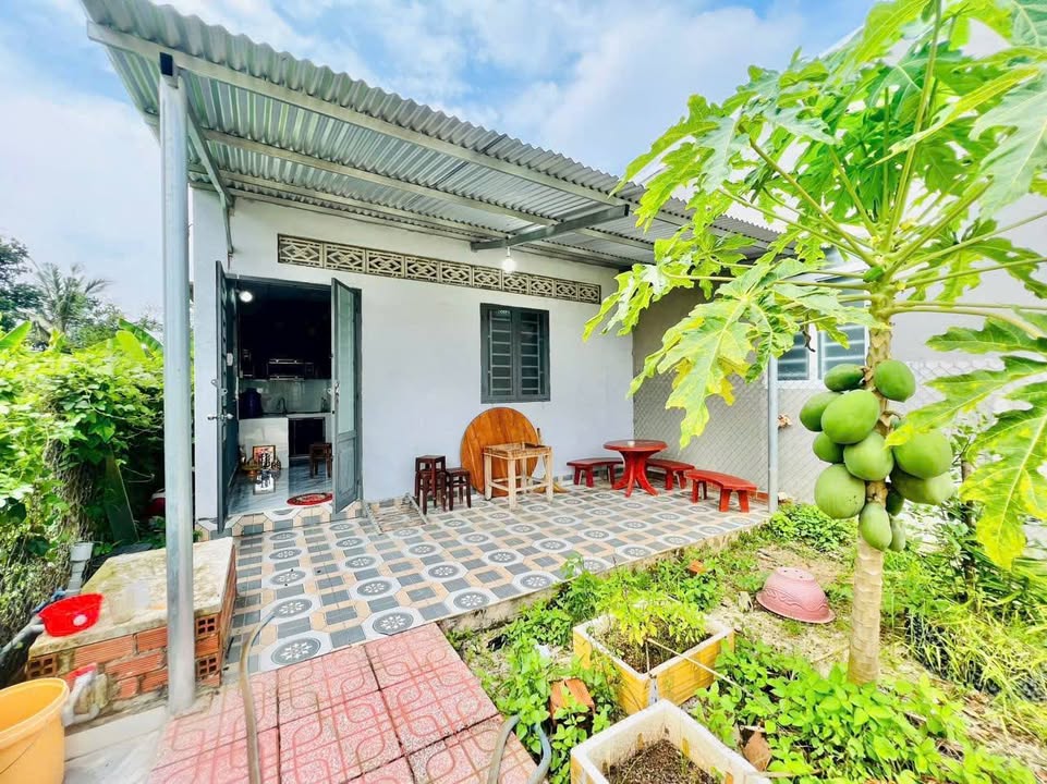 Nhà cho thuê Xóm Mới 2, Gò Dầu - Giá chỉ 1.8 triệu/tháng, tiện nghi đầy đủ!