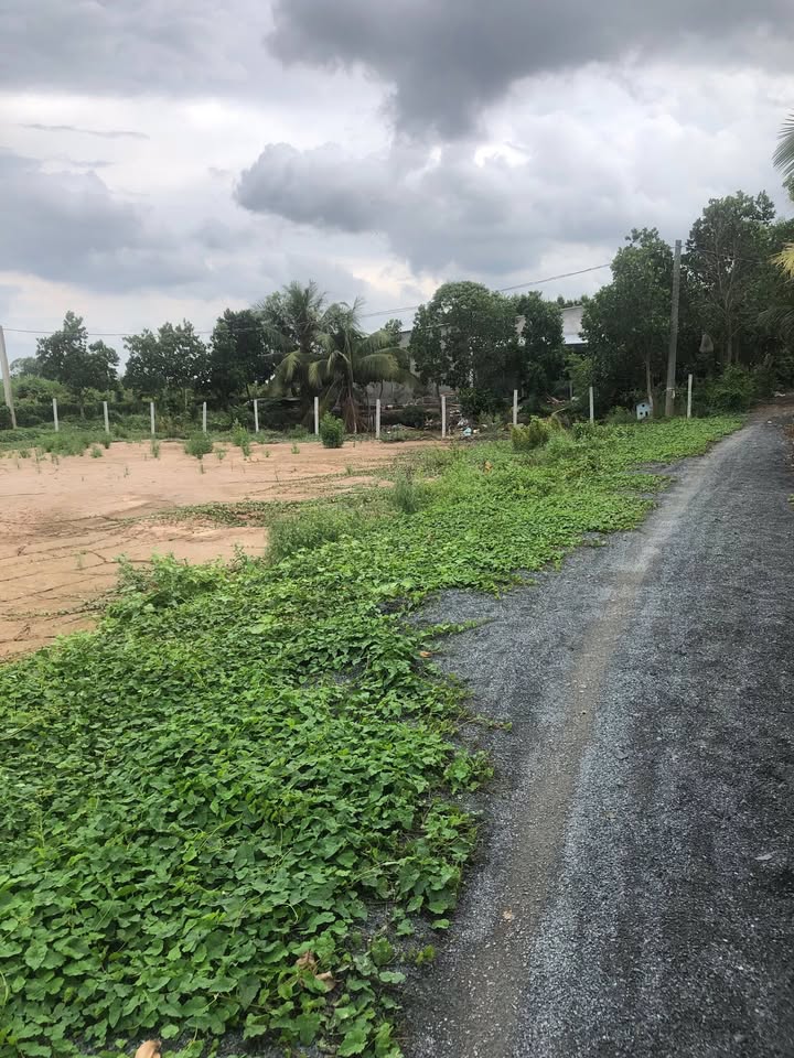 Đất nền Hòa Thành, Lai Vung 168m² giá 280 triệu - Cơ hội đầu tư hấp dẫn!