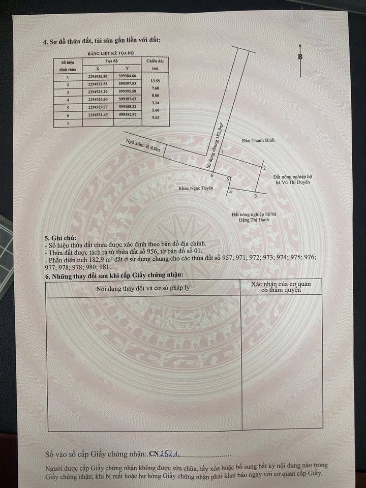 Nhà vườn tuyệt đẹp tại Tân Phong, Kiến Thụy, 206m² chỉ 1.6 tỷ - Cơ hội hiếm có!