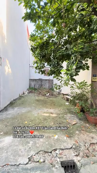 Đất thổ cư TĐC Trần Lãm, Thái Bình 60m² - Đầu tư sinh lời ngay!