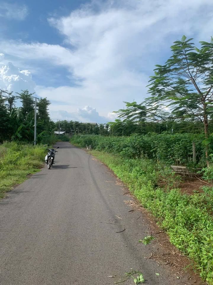 Đất dân cư Đá Bạc, Châu Đức 871,5m² giá 1,2 tỷ - Mặt tiền ô tô thuận lợi!