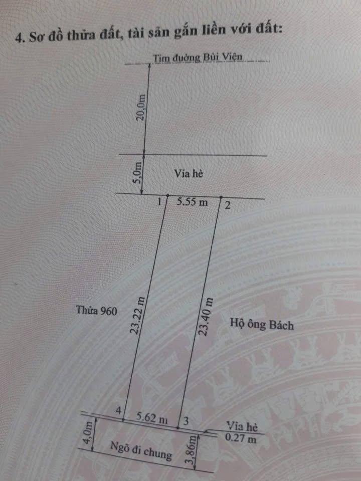 Bán đất mặt đường Bùi Viện, Hải An, Hải Phòng 129.6m² - Đầu tư sinh lời ngay!