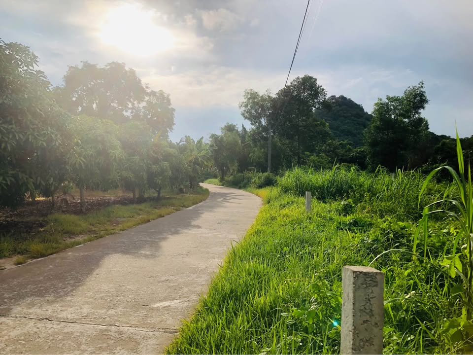 Đất nền đường Công Binh Tịnh Biên 560m² giá chỉ 430 triệu - Đầu tư sinh lời ngay!