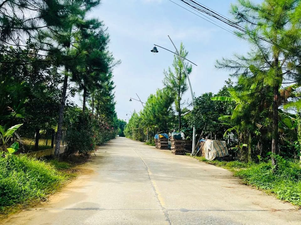 Đất nền Hương Thọ, TP. Huế 1985m² giá 5.955 tỷ - Cơ hội đầu tư hấp dẫn!