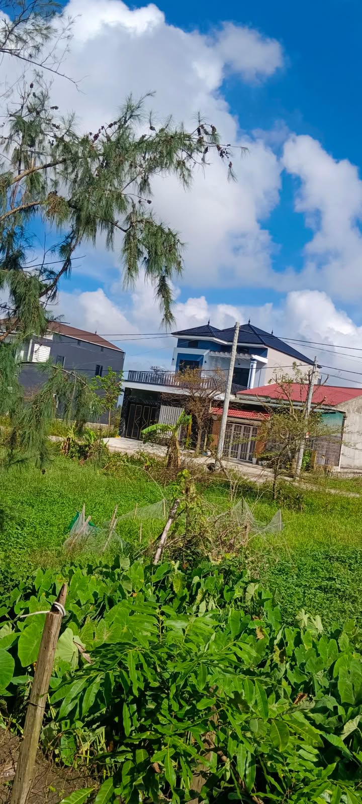 Đất nền Trần Phú, Vinh 152m² giá 3 tỷ - Cơ hội đầu tư sinh lời!