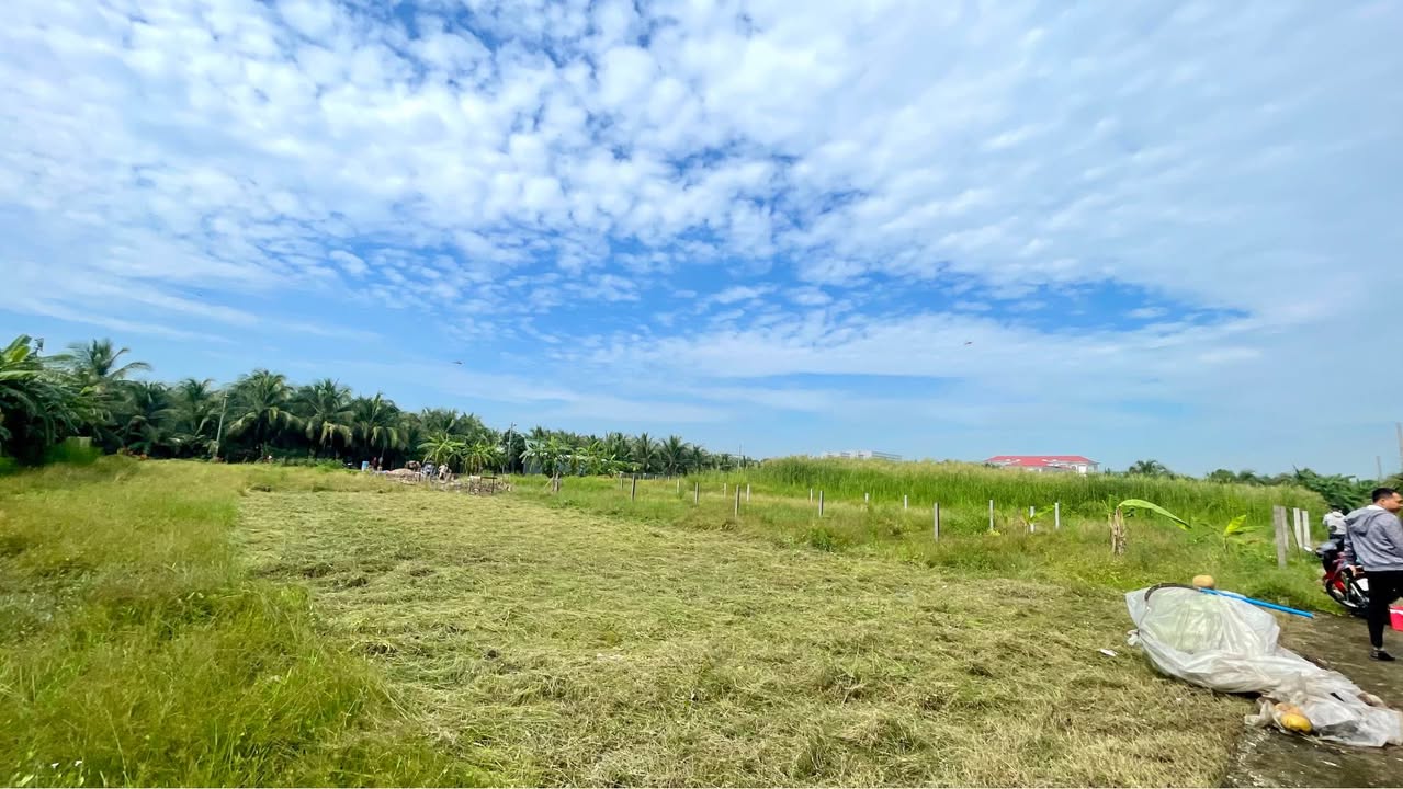 Đất nền thổ cư 175m² tại Ấp Long Hưng, Tiền Giang - Sổ hồng chính chủ!