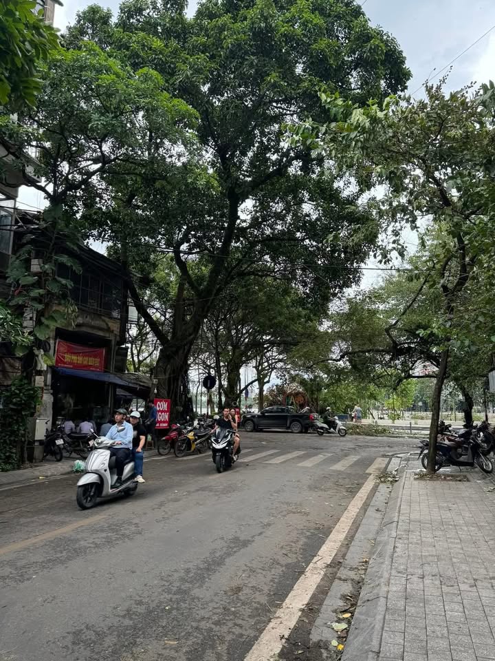 Nhà mặt phố Nguyễn Biểu, Ba Đình, 50m² giá 47 tỷ - Cơ hội đầu tư hiếm có!