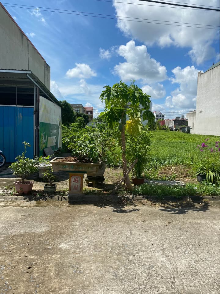 Đất phân lô Ninh Phúc 100m² giá 3 tỷ - Mặt tiền rộng, hướng Bắc!