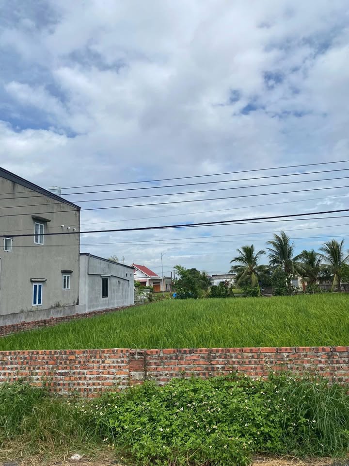 Đất mặt tiền đường nhựa xã Chấn Hưng 10m giá 2 tỷ - Đầu tư sinh lời ngay!