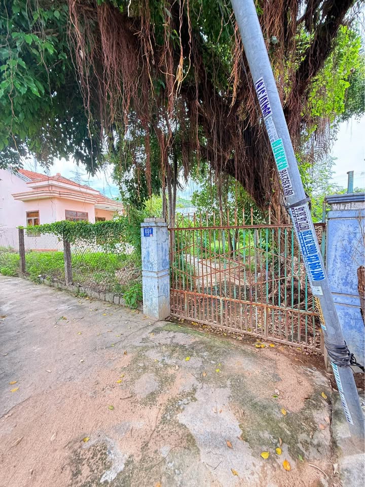 Đất nền Vĩnh Phương Nha Trang 736m² giá 4.4 tỷ - Cơ hội đầu tư hấp dẫn!