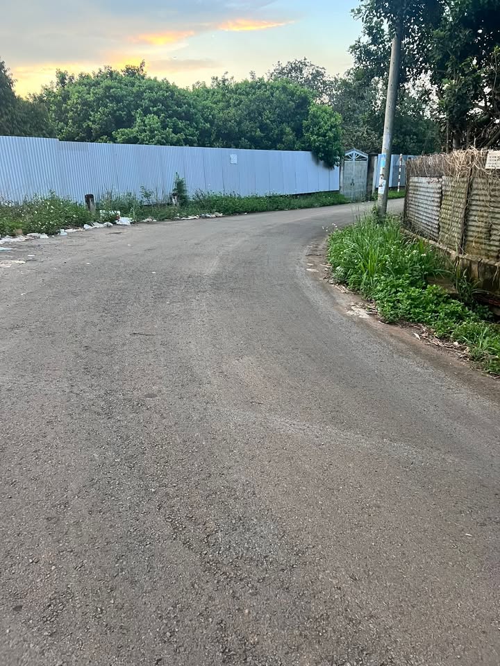 Đất nền Dầu Dây, Long Khánh 125m² giá chỉ 500 triệu - Đầu tư sinh lời ngay!