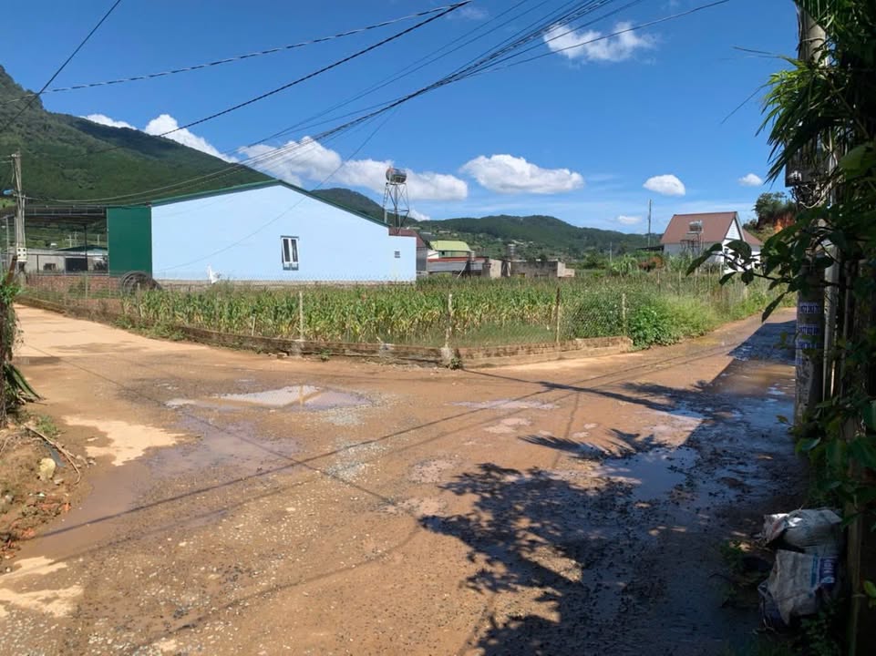 Đất mặt tiền 2 mặt đường Hiệp An, Đức Trọng 447m² giá 10.728 tỷ - Đầu tư sinh lời hấp dẫn!